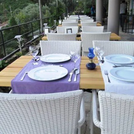 Serena Apartment *